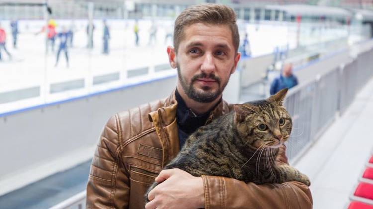 Толстого кота Виктора пригласили в Казань