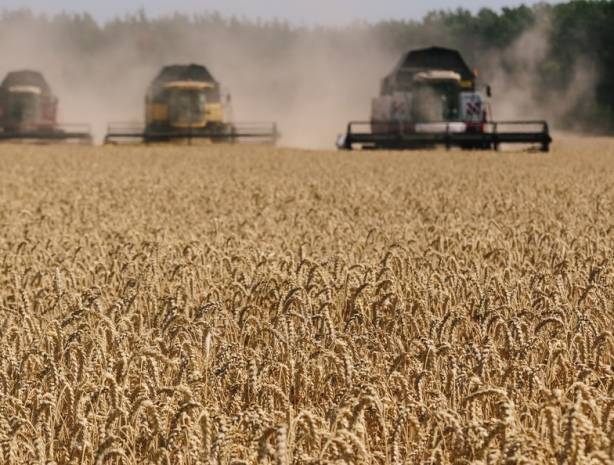 Вывоз зерна из России может быть ограничен