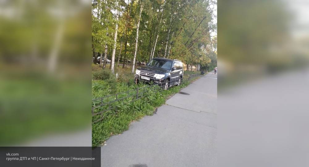 ГАТИ планирует ввести штраф для водителей за парковку на газонах Петербурга