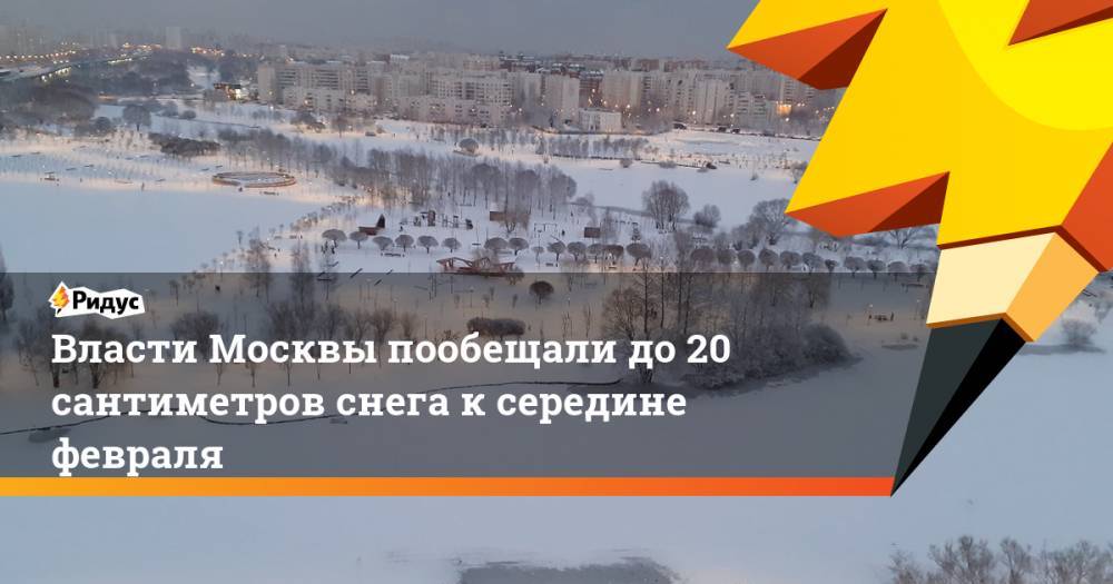 Власти Москвы пообещали до 20 сантиметров снега к середине февраля