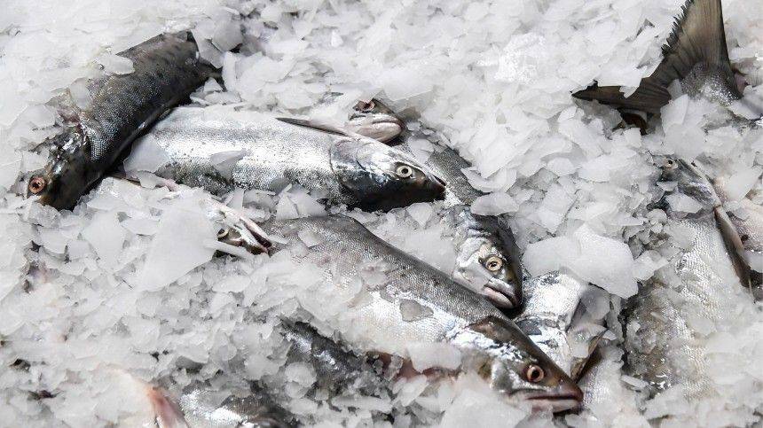 Замороженную рыбу в России пометят