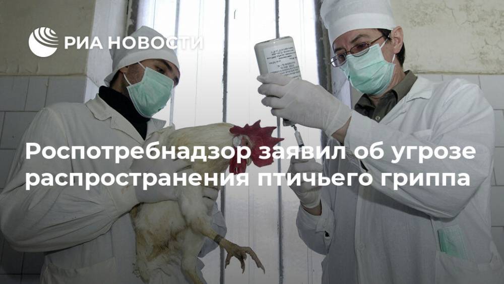 Роспотребнадзор заявил об угрозе распространения птичьего гриппа