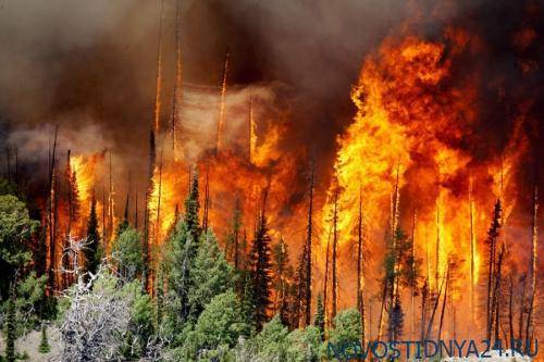 Свежий анализ подтверждает, что изменение климата усугубляет лесные пожары