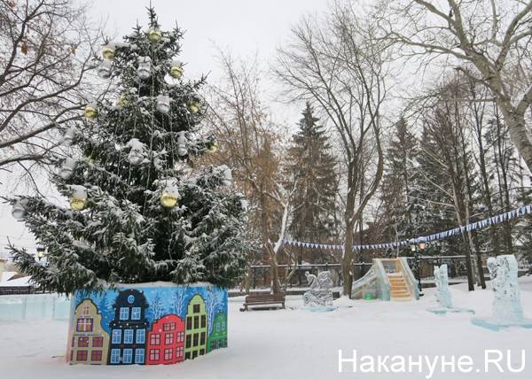 Пунктов приема новогодних елок в Екатеринбурге не будет