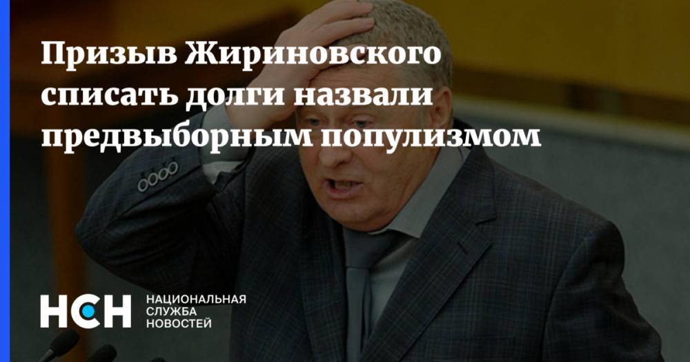 Призыв Жириновского списать долги назвали предвыборным популизмом