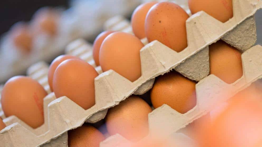 Новый год начался с подорожания: Aldi и Lidl подняли цены на куриные яйца
