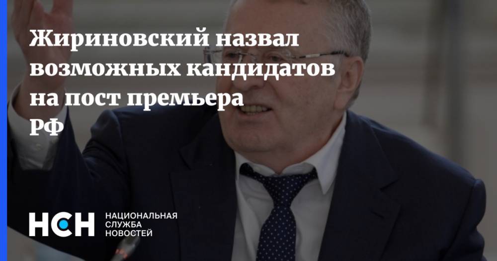 Жириновский назвал возможных кандидатов на пост премьера РФ