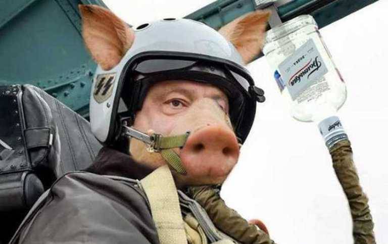 Порошенко подложил Украине конфедеративную свинью – Портнов