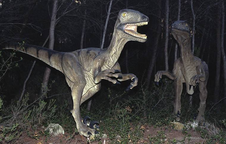 Учёные откопали в Австралии останки самого крупного динозавра на планете