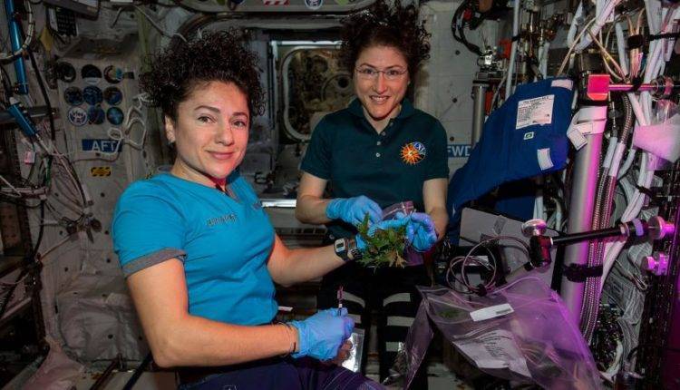 Джессика Меир - Кристина Кук - Женщины-астронавты NASA заменили на МКС батареи в открытом космосе - newtvnews.ru - США
