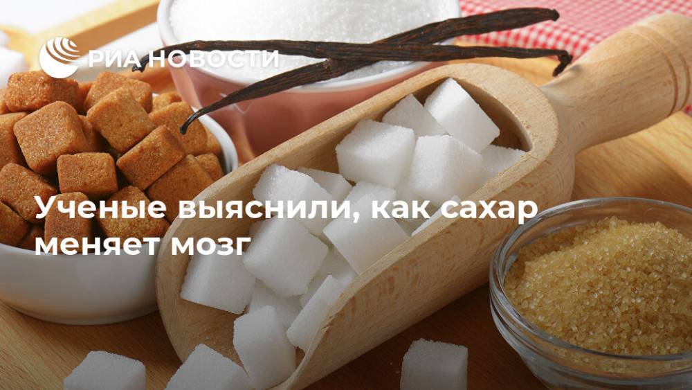 Ученые выяснили, как сахар меняет мозг - ria.ru - Москва