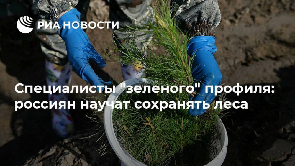Специалисты "зеленого" профиля: россиян научат сохранять леса