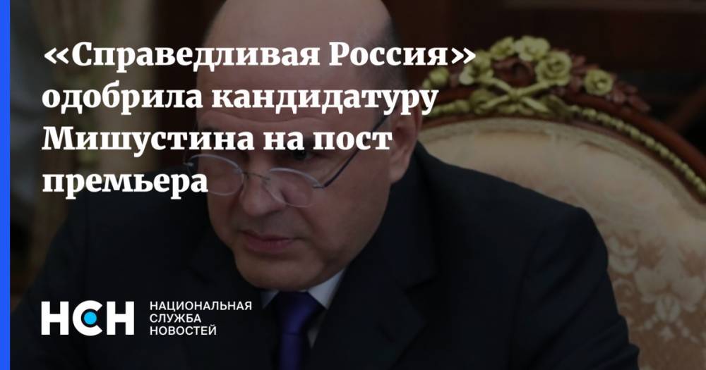 «Справедливая Россия» одобрила кандидатуру Мишустина на пост премьера