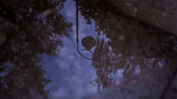 Петербурженка нашла труп на дереве у Верхнего Суздальского озера