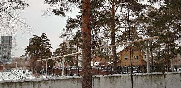 В Челябинском бору хотят вырубить лес под строительство газопровода, который уже проложили