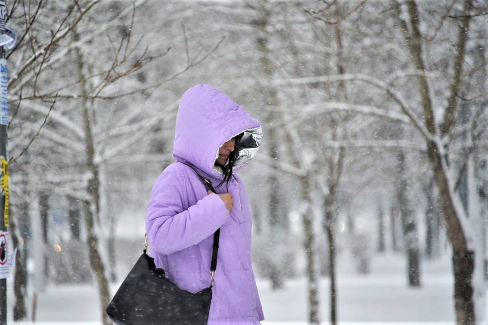 Синоптики предупредили жителей Челябинской области о снежном шторме