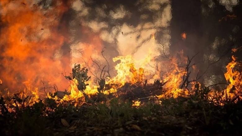 Метеорологи предупредили о грядущей засухе и торфяных пожарах летом