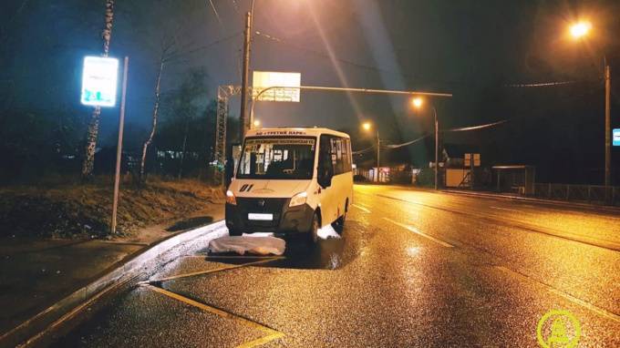Водитель маршрутки насмерть сбил пожилого мужчину на Выборгском шоссе