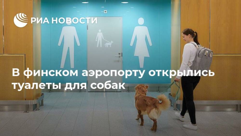 В финском аэропорту открылись туалеты для собак