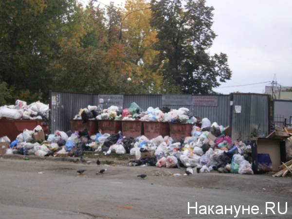 Столицу Приморья завалило мусором: регоператор обещает исправить ситуацию до конца недели