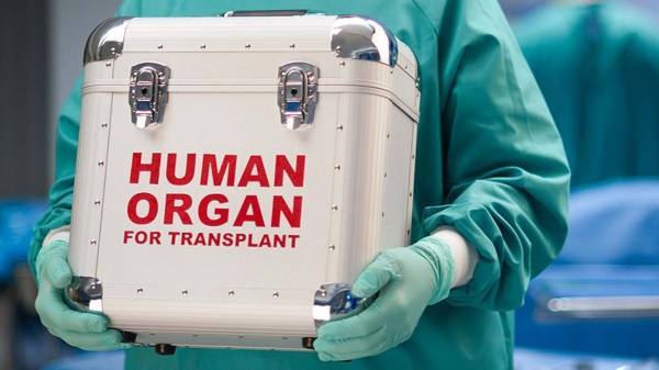"Во всем мире есть черный бизнес": коммунисты выступили против законопроекта по трансплантации органов