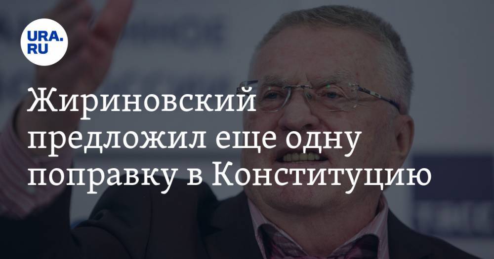 Жириновский предложил еще одну поправку в Конституцию