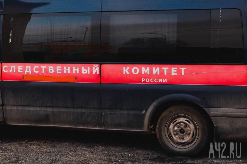 Жительница Новосибирска задушила маленькую дочь, а сама выпала из окна