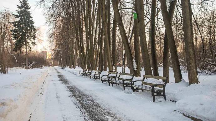 Синоптики подсчитали, сколько в Москве светило солнце в декабре