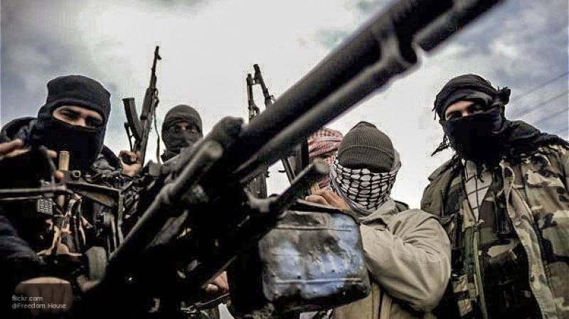 Востоковед Курбанов назвал долгожданным продолжение спецоперации против боевиков в Сирии