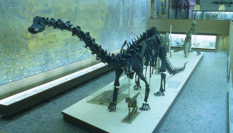 Ученые назвали причину вымирания динозавров
