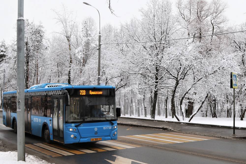 Новые маршруты общественного транспорта появились в Москве