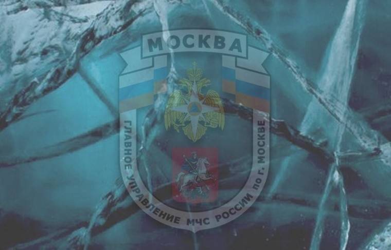 Мужчины провалились под лёд на Борисовских прудах в Москве
