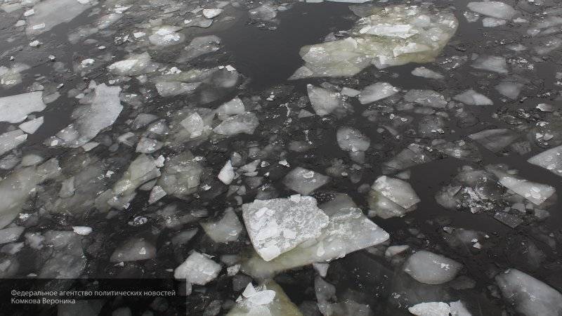 Трое мужчин провалились под лед на Борисовских прудах в Москве