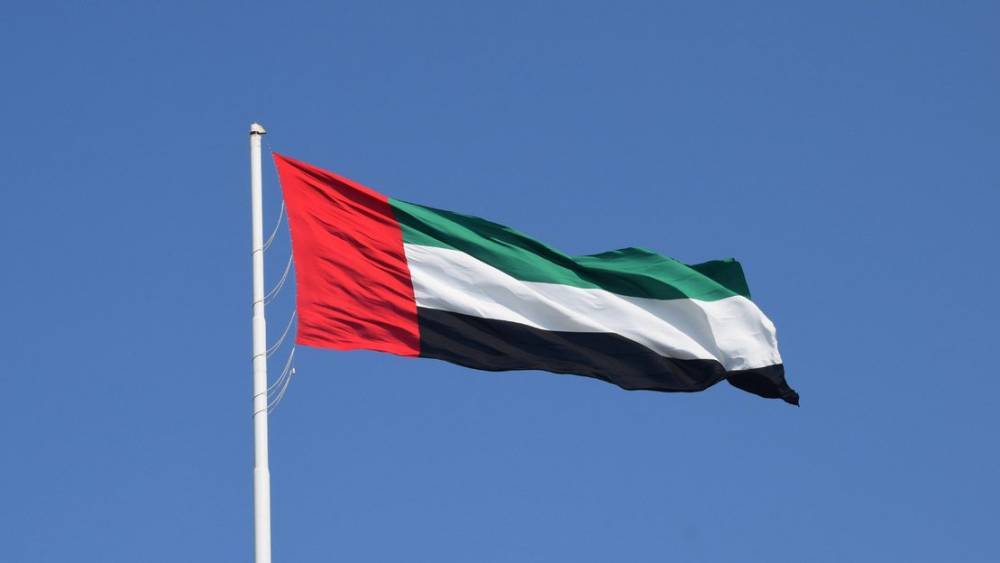 Глава МИД Арабских Эмиратов указал на важность невмешательства в дела Ливии