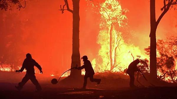 Дым от австралийских пожаров достиг Новой Зеландии