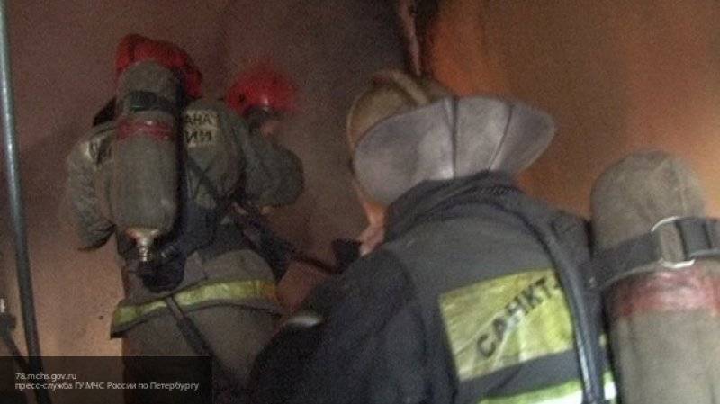 Пожарные нашли заросли конопли во время тушения пожара квартиры в Петербурге