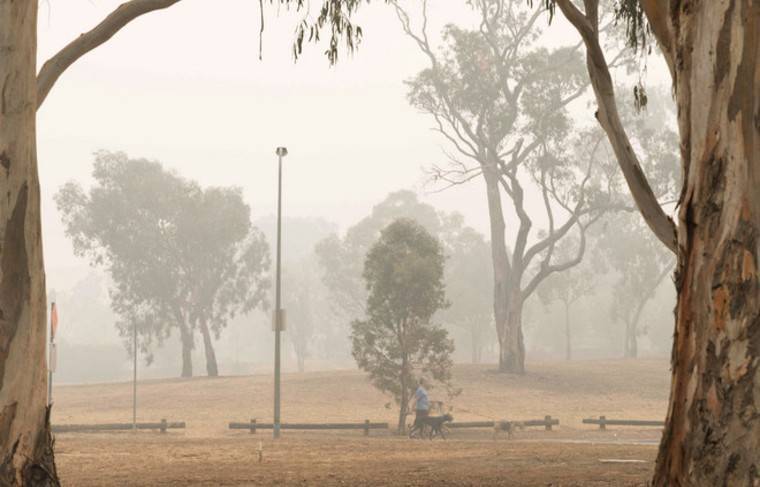 Масштабная эвакуация началась в Австралии из-за лесных пожаров