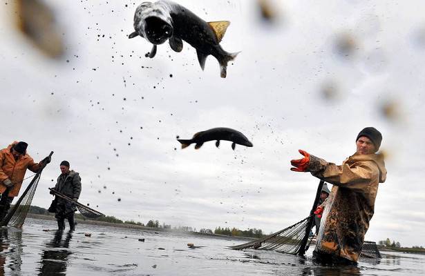 В России вступает в силу закон о любительском рыболовстве