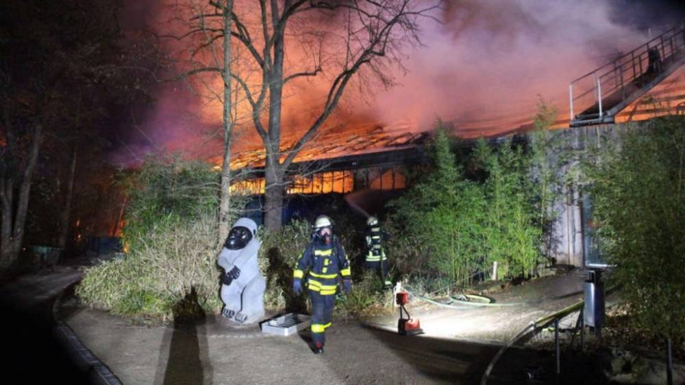 Новогоднее развлечение спровоцировало пожар в зоопарке: погибло больше 30 животных