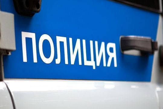 Появились подробности о похищении в Москве семилетней девочки в новогоднюю ночь
