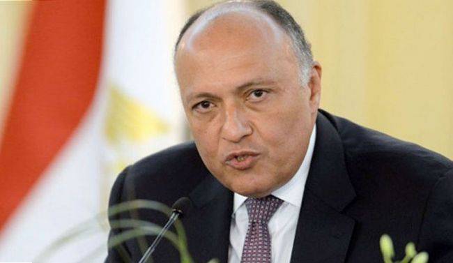 Египет осудил намерение Турции отправить в Ливию войска