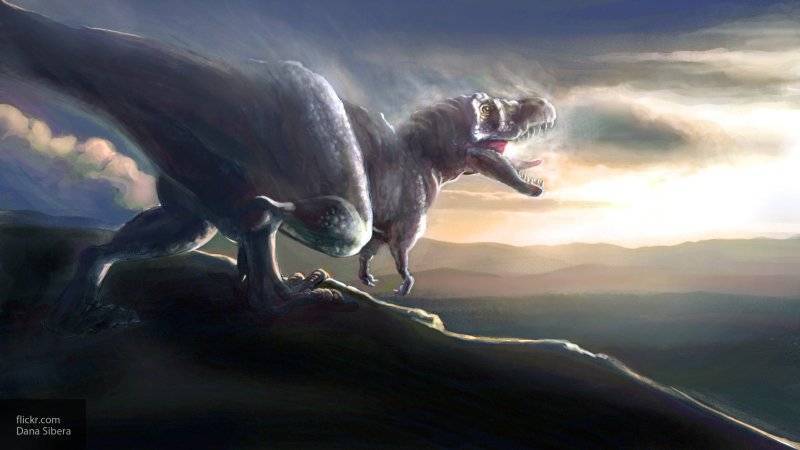 Палеонтологи заявили, что нанотираны были детенышами тираннозавров