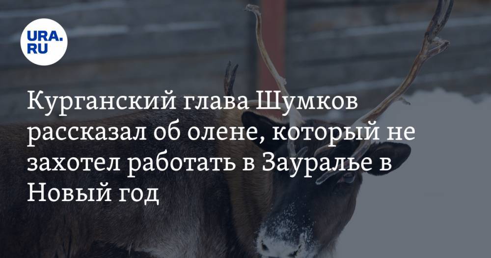 Курганский глава Шумков рассказал об олене, который не захотел работать в Зауралье в Новый год