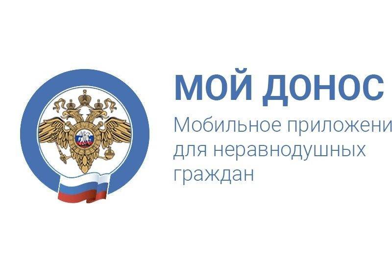 Приложение «Мой донос» стало доступным в смартфонах россиян с 1 января 2020 года