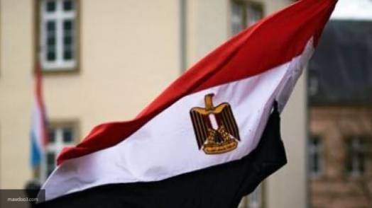 Власти Египта отреагировали на решение Турции о военном вторжении в Ливию