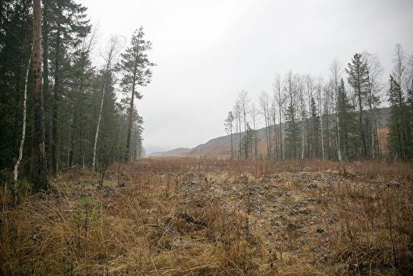 Журналист попросил Куйвашева не делать национальный парк из заповедника «Денежкин камень»