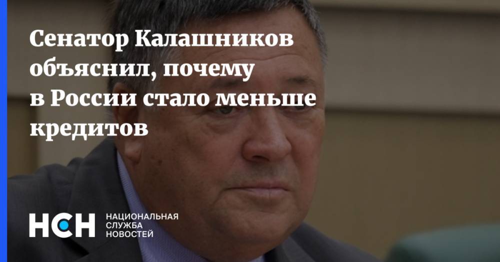 Сенатор Калашников объяснил, почему в России стало меньше кредитов