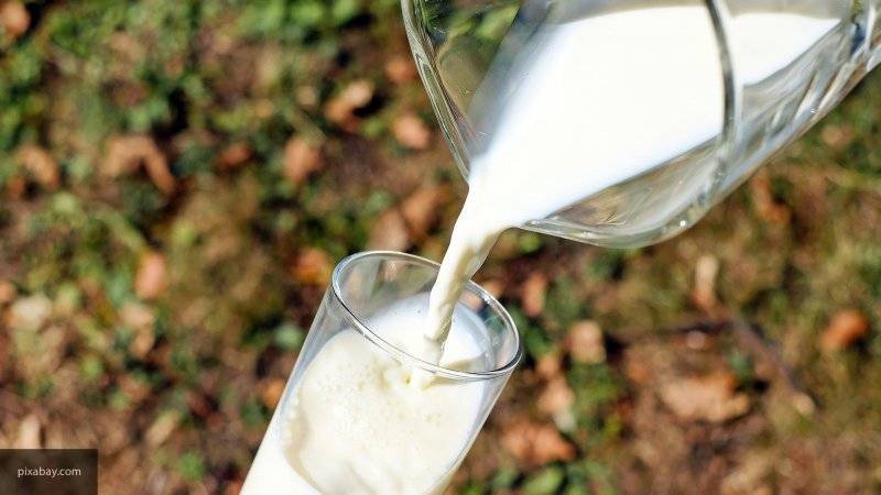 Специалисты рассказали, какое молоко хранится лучше всего