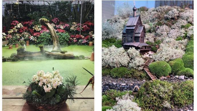 Выставка «Японский сад, Царство мхов и новогодние растения» продлена на 2 дня