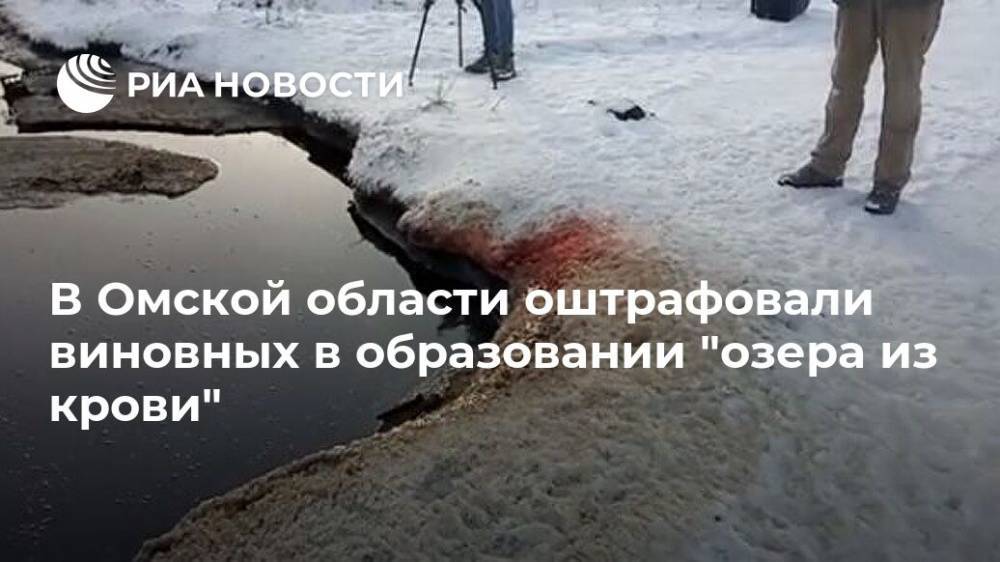В Омской области оштрафовали виновных в образовании "озера из крови"